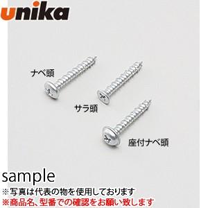 ユニカ コンクリートビス ノンプラビス F-425-SDN シルバーメッキ ドリルなし 皿 4×25mm