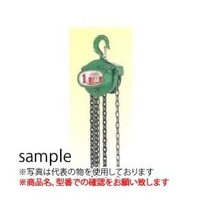 二葉製作所 手動式チェーンブロック ＡＨ型 AH10T 3.5M