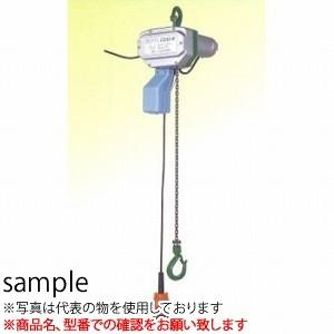 二葉製作所 グリーンミニ 電気チェーンブロック 単相100V CG-250-W 3M 2PBS　懸垂...