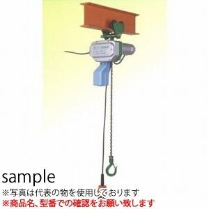 二葉製作所 グリーンミニ 電気チェーンブロック 単相100V CGP-250 3M 2PBS　プレン...