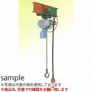 二葉製作所 グリーンミニ 電気チェーンブロック 単相100V CGT-250 3M 4PBS　電気ト...