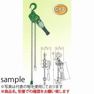 二葉製作所 チェーンレバーCV3-1.6T 1.5M