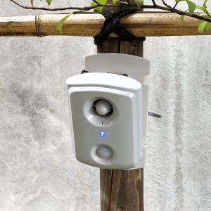 TOTO パブリック用電気温水器 REWF03B11R 【在庫有り