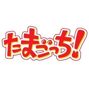 未開封BOX たまごっち にゅー！ごっちカード 3BOX BANDAI バンダイ たまごっち にゅー ごっちカード BOX20個入り