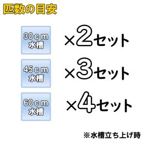 (熱帯魚)ハッピーセット おまかせ水草 8本 ...の詳細画像1