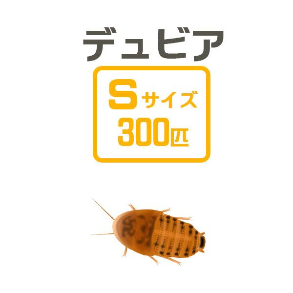 お取り寄せ（3−4営業日）　餌昆虫　デュビアＳ　3カップ（約3００匹）【代引き不可】【冬季航空便地域...