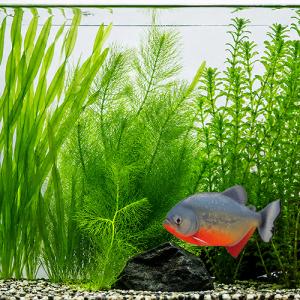 水草)南米ウィローモス 流木活着タイプ M（長さ約10cm） 1個 南米