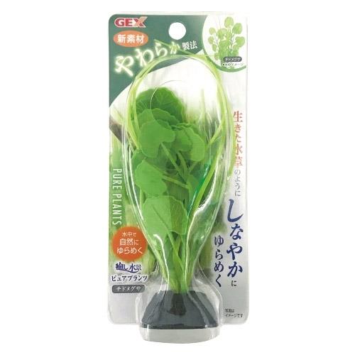 GEX　癒し水景　ピュアプランツ　チドメグサ