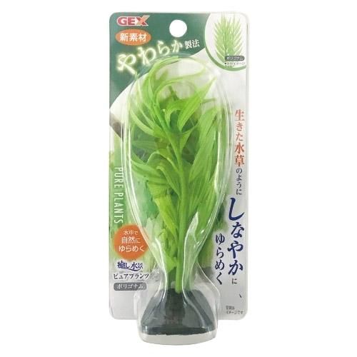 GEX　癒し水景　ピュアプランツ　ポリゴナム