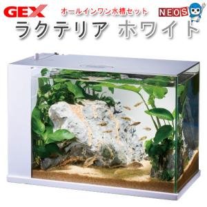 (アクアリウム　用品)GEX　ラクテリア ホワイト　水槽セット/飼育セット/水槽 おしゃれ/アクアリウム 水槽/アクアリウム セット｜fish-y