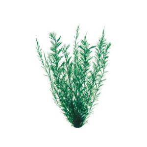 GEX 金魚水景 天然おつまみ草の詳細画像1