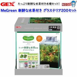 GEX　MeGreen 新鮮な水草付きグラステリア200セット｜fish-y
