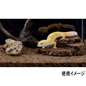 GEX テラコルク フラットの詳細画像1