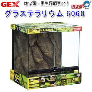 GEX　グラステラリウム　6060 　PT2612　【大型送料要】【取寄せ商品】