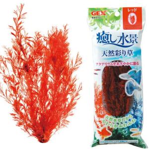 (アクアリウム　用品)GEX　癒し水景　天然彩り草　レッド｜fish-y