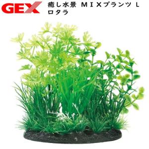 (アクアリウム　用品)GEX　癒し水景 MIXプランツ L ロタラ｜fish-y