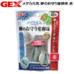 【日曜闇市】GEX　メダカ元気 卵のお守り産卵床　赤