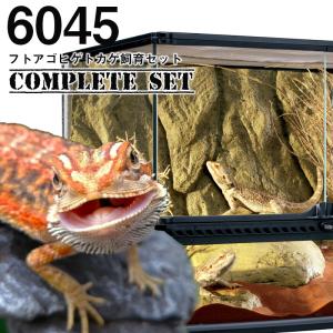 【水槽セット】6045　フトアゴヒゲトカゲ飼育セット　コンプリート　(大型送料適用)