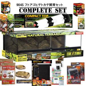 【水槽セット】9045 フトアゴヒゲトカゲ飼育...の詳細画像1