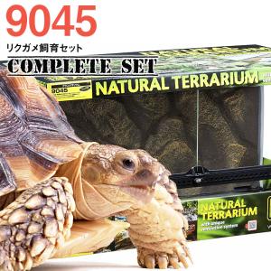 【水槽セット】9045　リクガメ飼育セット　コンプリート　(大型送料適用)