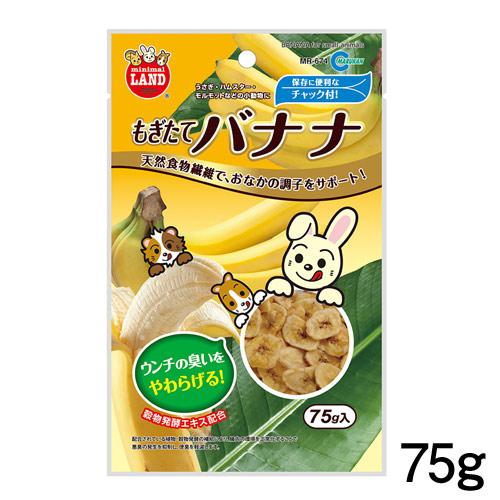 (小動物 用品)マルカン　もぎたてバナナ　75g　MR-674