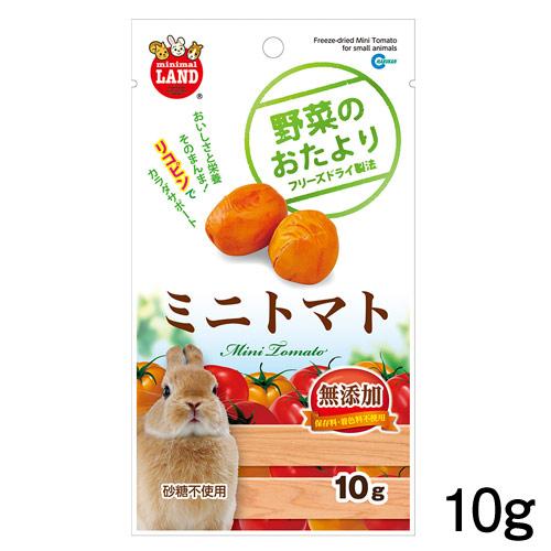(小動物 用品)マルカン　野菜のおたより ミニトマト　10g　ML-82