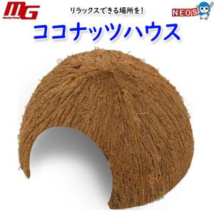マルカン　ココナッツハウス