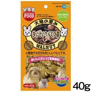 (小動物 用品)マルカン　大地の恵み　おいしいクルミの森　40g　MR-580　おやつ/餌/えさ/エ...