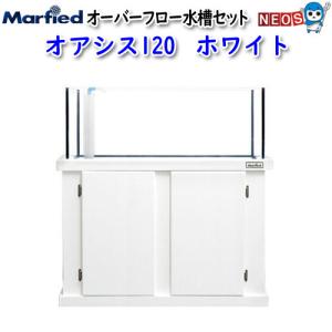 マーフィード オーバーフロー水槽セット オアシス120 ホワイト 取寄商品 大型送料要 水槽/熱帯魚/観賞魚/飼育/セット水槽/生体/通販/販売/アクアリウム