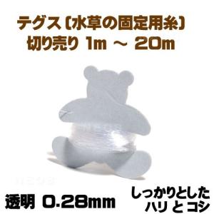 (アクアリウム　用品)テグス(釣り糸)透明 0.28mm　切り売り1m〜 しっかりとしたハリとコシ