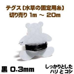 パケパフ350円テグス(釣り糸)黒 0.3mm　切り売り1m〜 しっかりとしたハリとコシ