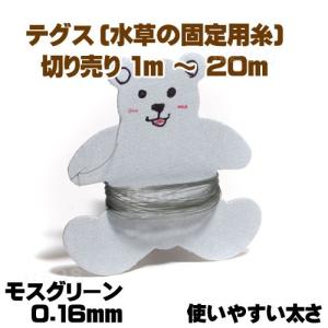 (アクアリウム　用品)テグス(釣り糸)モスグリーン色 0.16mm　切り売り1m〜 使いやすい太さ