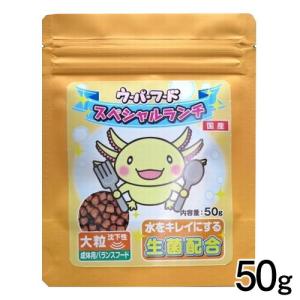 (アクアリウム 用品)ニチドウ　ウーパーフード　スペシャルランチ　大粒　50g　餌/えさ/エサ/観賞魚/餌やり