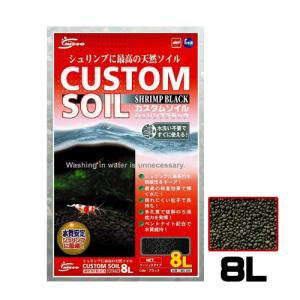 GEX（ジェックス） シュリンプ一番サンド 2kg 熱帯魚 用品 ソイル