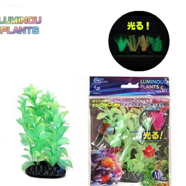 パケパフ350円ニッソー　ルミナスプランツナイト　M-2　NAP-221