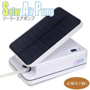 Tetra（テトラ） (アクアリウム 用品)テトラ インバーター殺菌灯 UV