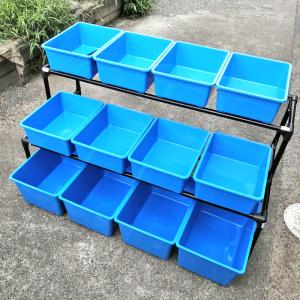 メダカ飼育黒ラック 1段8個置き めだか飼育棚 容器棚 めだか容器産卵