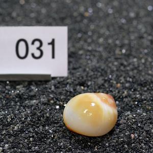 一点物 ヤドカリのお家 プレミアム 1個 ry031の詳細画像1