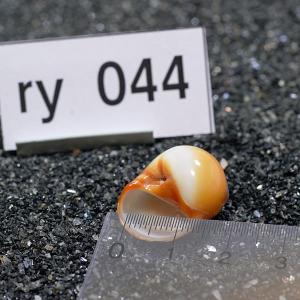 一点物 ヤドカリのお家 プレミアム 1個 ry044の詳細画像2