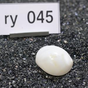 一点物 ヤドカリのお家 プレミアム 1個 ry045の詳細画像1