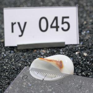 一点物 ヤドカリのお家 プレミアム 1個 ry045の詳細画像2