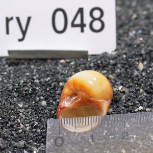 一点物 ヤドカリのお家 プレミアム 1個 ry048の詳細画像2