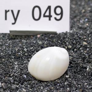 一点物 ヤドカリのお家 プレミアム 1個 ry049の詳細画像1