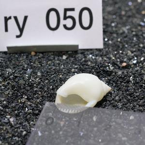 一点物 ヤドカリのお家 プレミアム 1個 ry050の詳細画像2