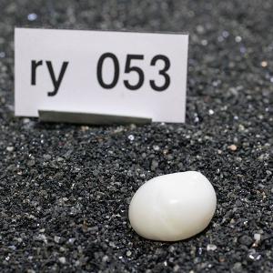 一点物 ヤドカリのお家 プレミアム 1個 ry053の詳細画像1
