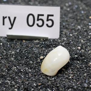一点物 ヤドカリのお家 プレミアム 1個 ry055の詳細画像1