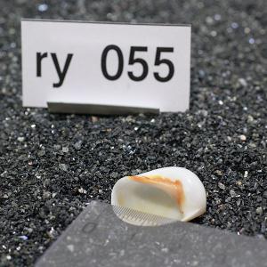 一点物 ヤドカリのお家 プレミアム 1個 ry055の詳細画像2