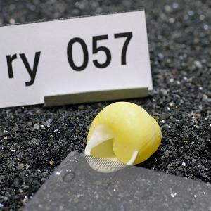 一点物 ヤドカリのお家 プレミアム 1個 ry057の詳細画像2