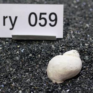 一点物 ヤドカリのお家 プレミアム 1個 ry059の詳細画像1
