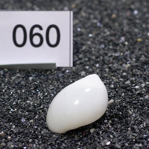 一点物 ヤドカリのお家 プレミアム 1個 ry060の詳細画像1